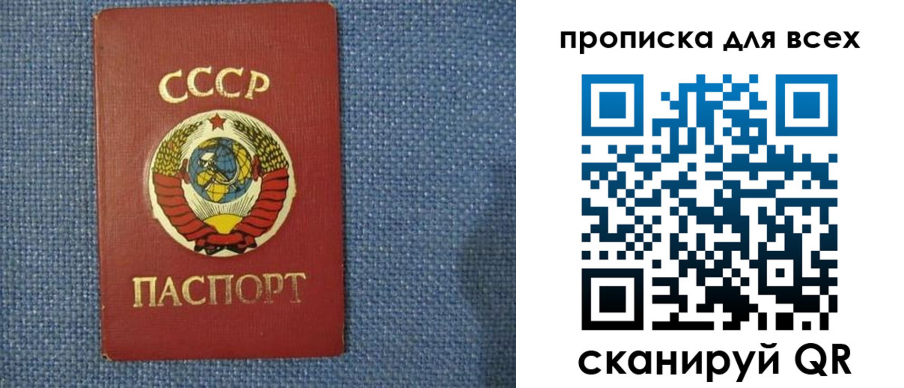 прописка в квартире в Дубовке